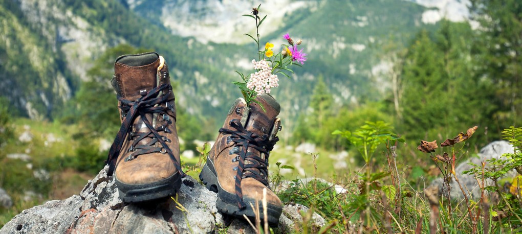 Wandern am Dachstein, Appartements Pernerhof, Ramsau